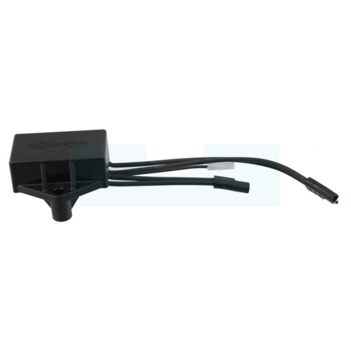 Module d'allumage pour moteur Briggs & Stratton (593994)