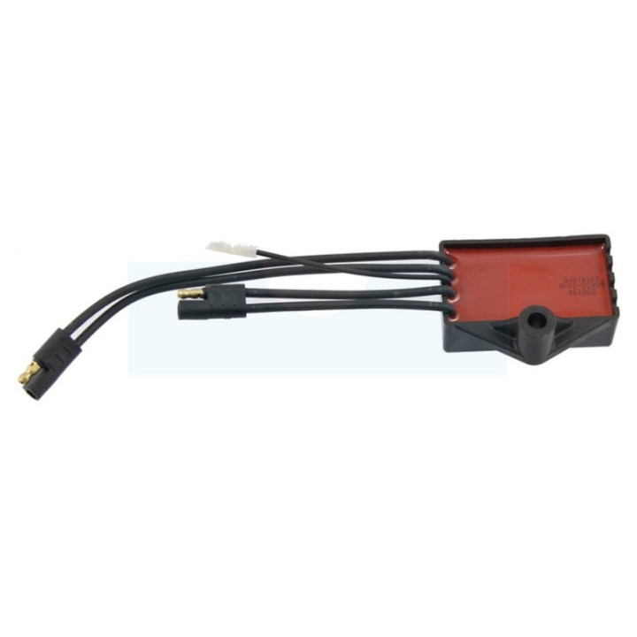 Module d'allumage pour moteur Briggs & Stratton (593994)