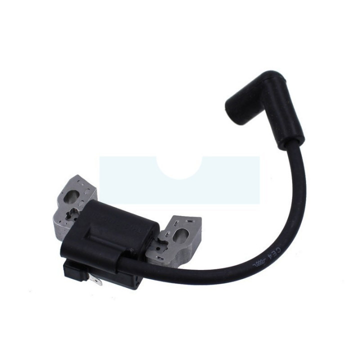 Bobine d'allumage pour moteur Briggs & Stratton (595959)