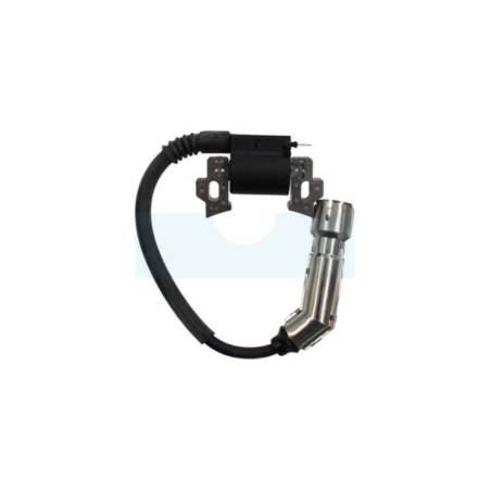 Bobine d'allumage pour moteur Briggs & Stratton (593455)