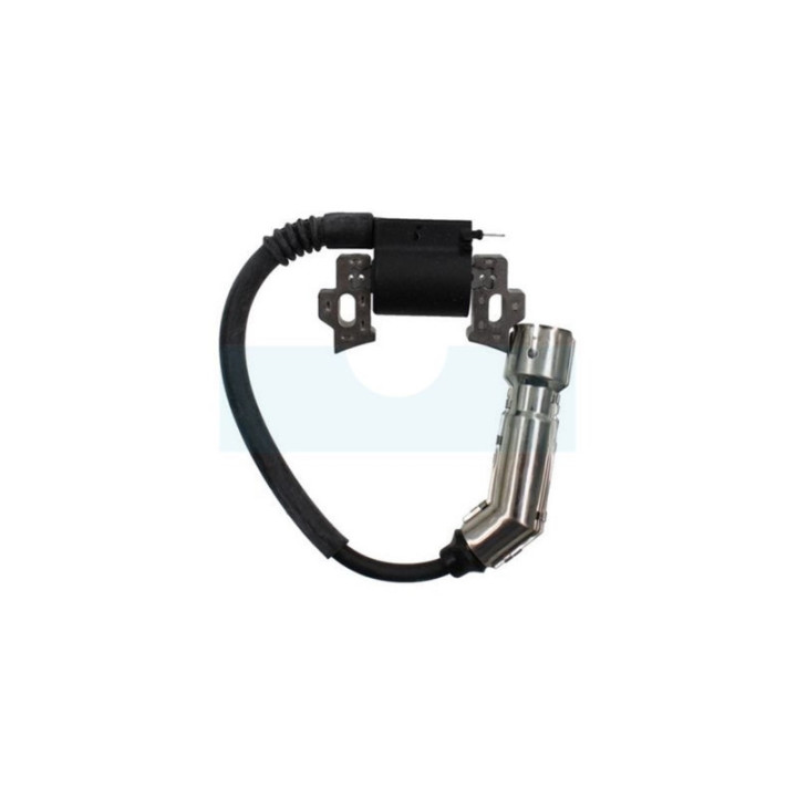 Bobine d'allumage pour moteur Briggs & Stratton (593455)