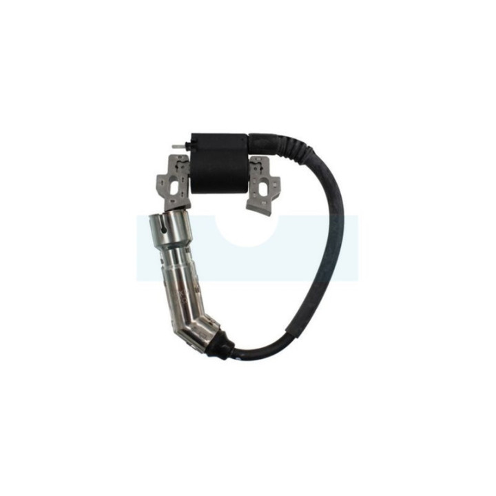 Bobine d'allumage pour moteur Briggs & Stratton (593455)