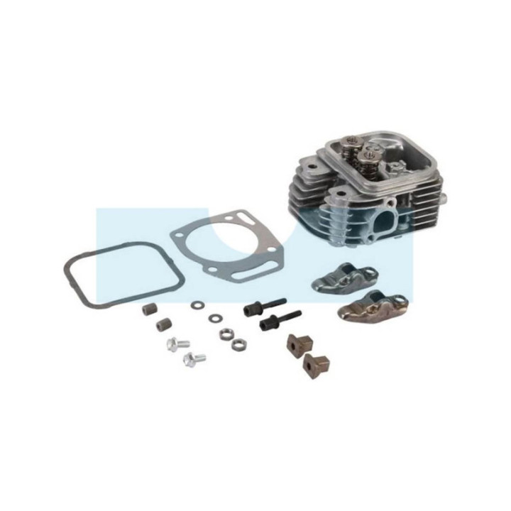 Culasse pour moteur Briggs & Stratton (809186)