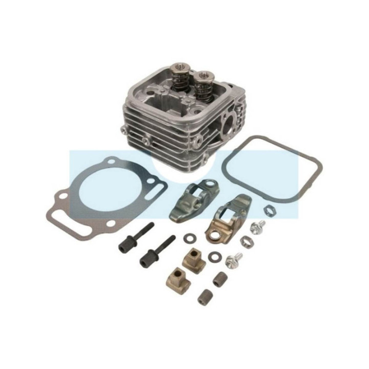 Culasse pour moteur Briggs & Stratton (809201)