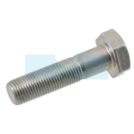 Vis pour machine Agria (79480)
