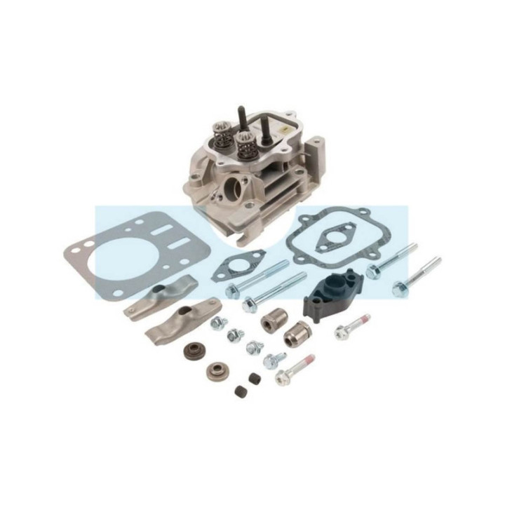 Culasse pour moteur Briggs & Stratton (594514)