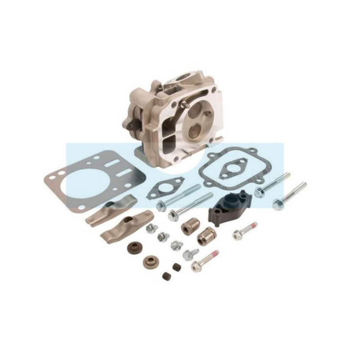 Culasse pour moteur Briggs & Stratton (594514)