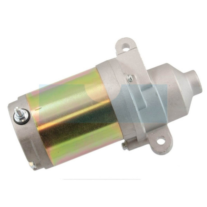Démarreur pour moteur MTD (951-12207)
