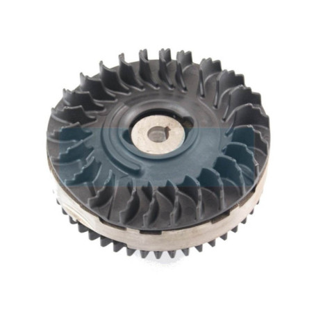 Volant d'allumage pour moteur Briggs & Stratton (591282)
