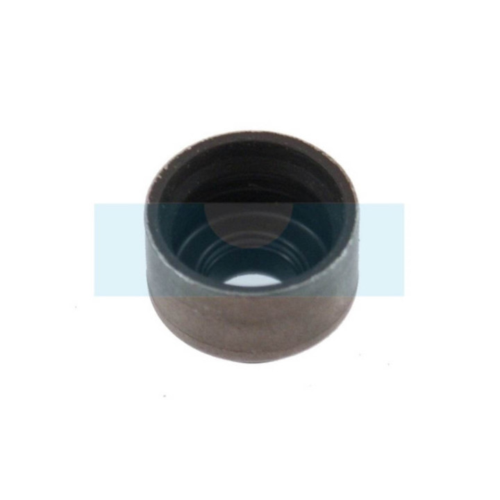Joint de queue de soupape pour moteur Kohler (2003210)