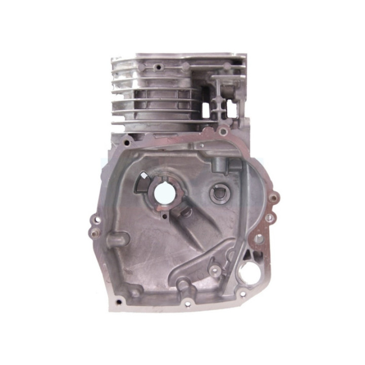 Carter cylindre pour moteur Briggs & Stratton (697322)