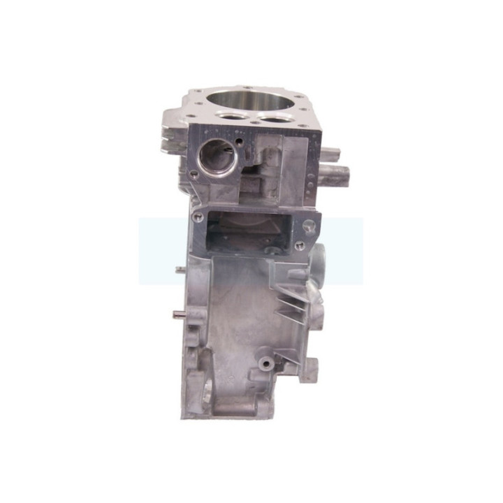 Carter cylindre pour moteur Briggs & Stratton (697322)