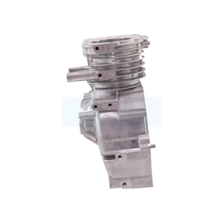 Carter cylindre pour moteur Briggs & Stratton (697322)