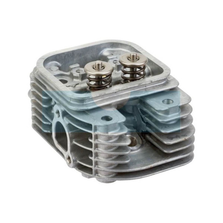 Culasse pour moteur Briggs & Stratton (809200)