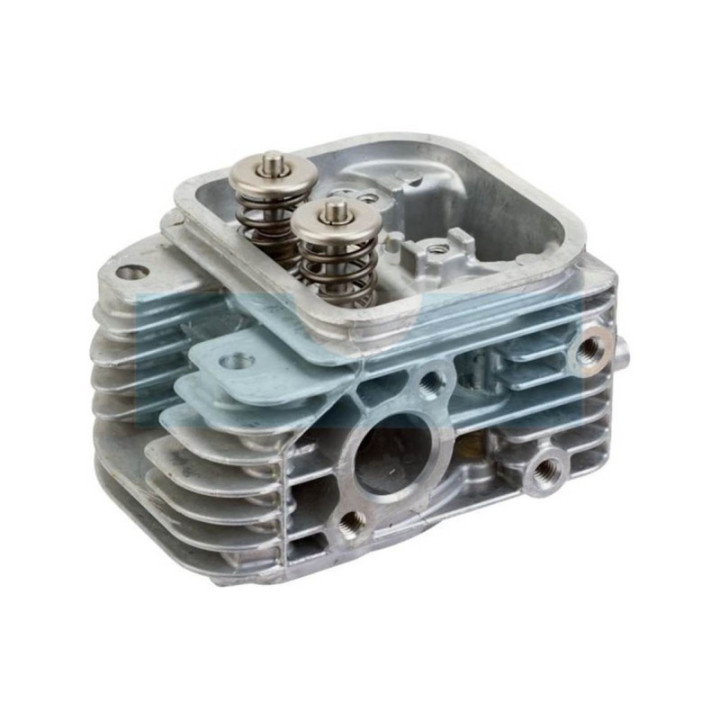 Culasse pour moteur Briggs & Stratton (809200)