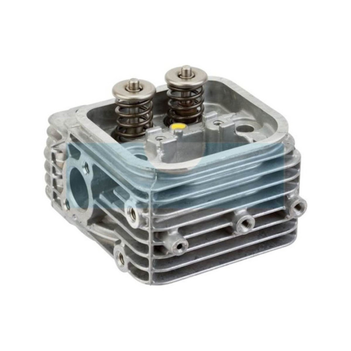 Culasse pour moteur Briggs & Stratton (809200)