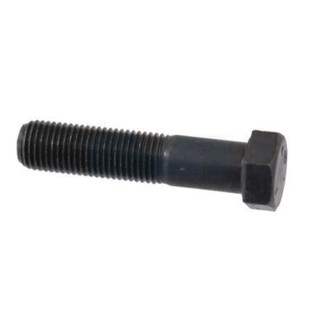 Boulon de poulie moteur pour tracteur tondeuse Castelgarden / GGP (112737310/0)