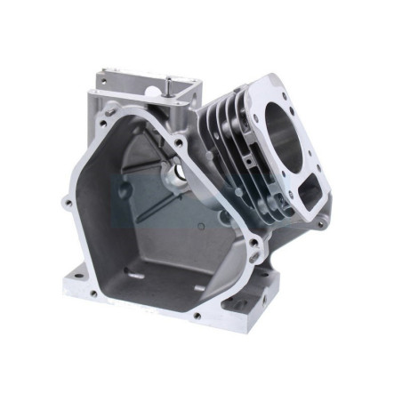 Carter cylindre pour moteur Briggs & Stratton (699510)