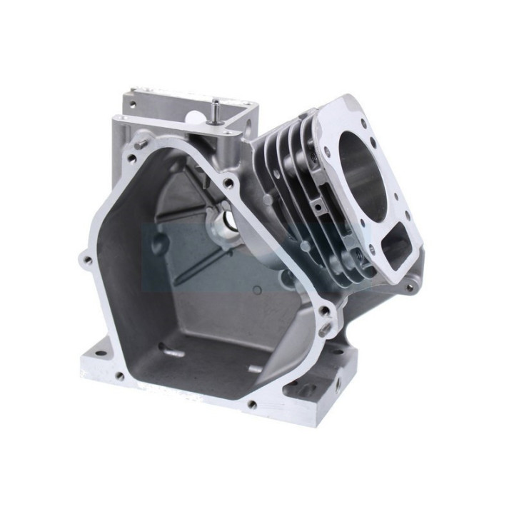 Carter cylindre pour moteur Briggs & Stratton (699510)