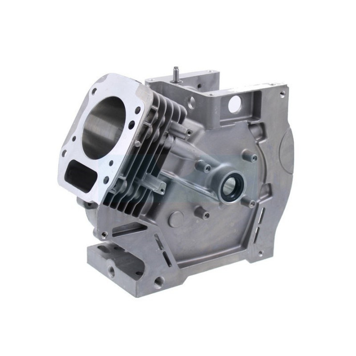 Carter cylindre pour moteur Briggs & Stratton (699510)