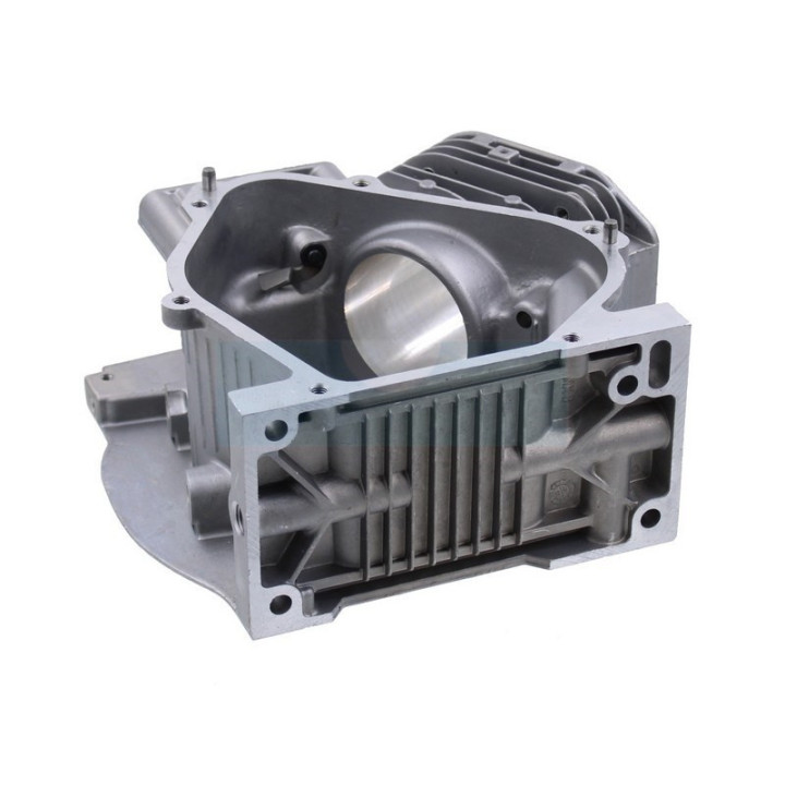 Carter cylindre pour moteur Briggs & Stratton (699510)