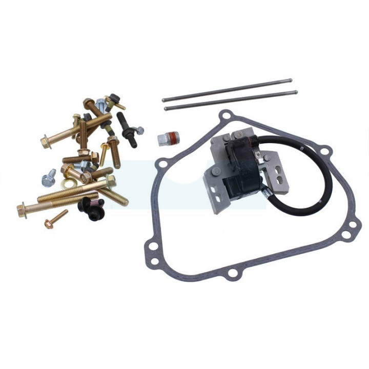 Carter cylindre pour moteur Briggs & Stratton (699510)