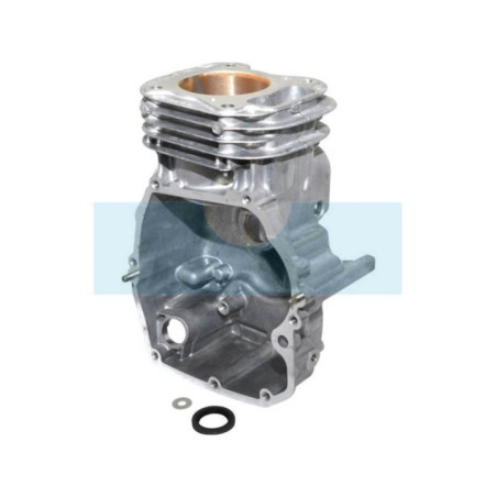 Carter cylindre pour moteur Briggs & Stratton (798947)