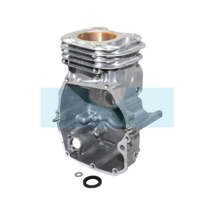 Carter cylindre pour moteur Briggs & Stratton (798947)