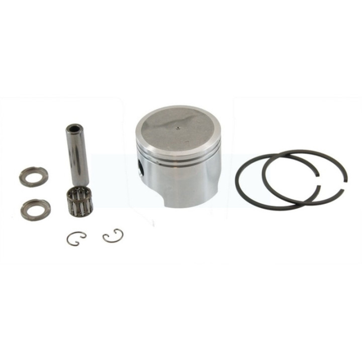 Piston pour Echo (P021002984)