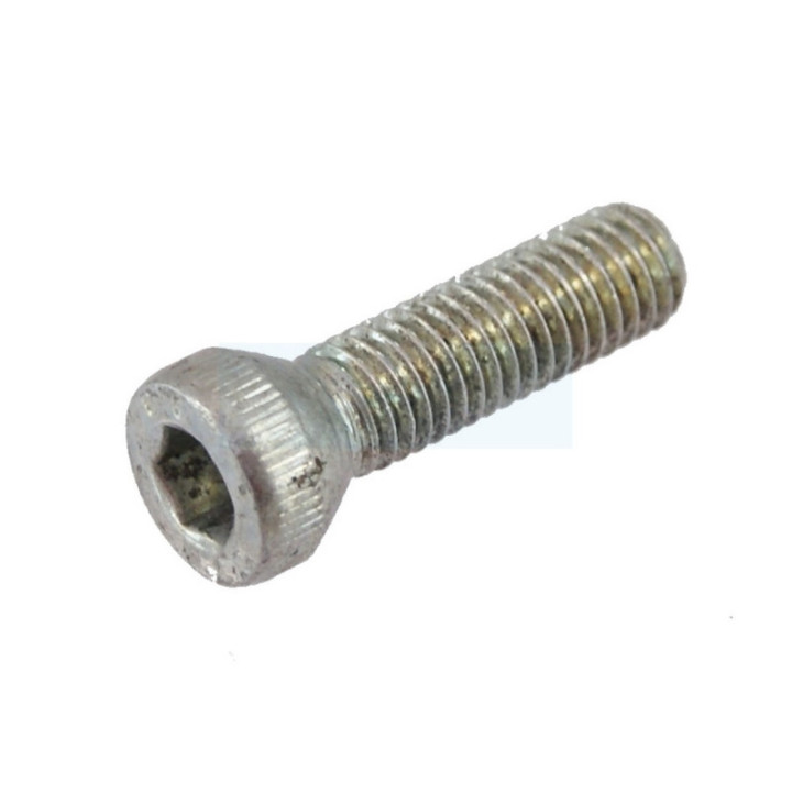 Boulon pour lame de rechange pour écorceuse