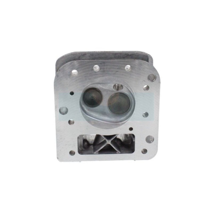 Culasse pour moteur Briggs & Stratton (796026)