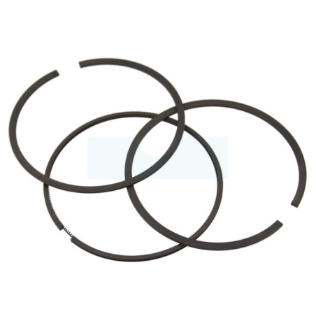 Kit segment pour moteur Briggs & Stratton (690162)