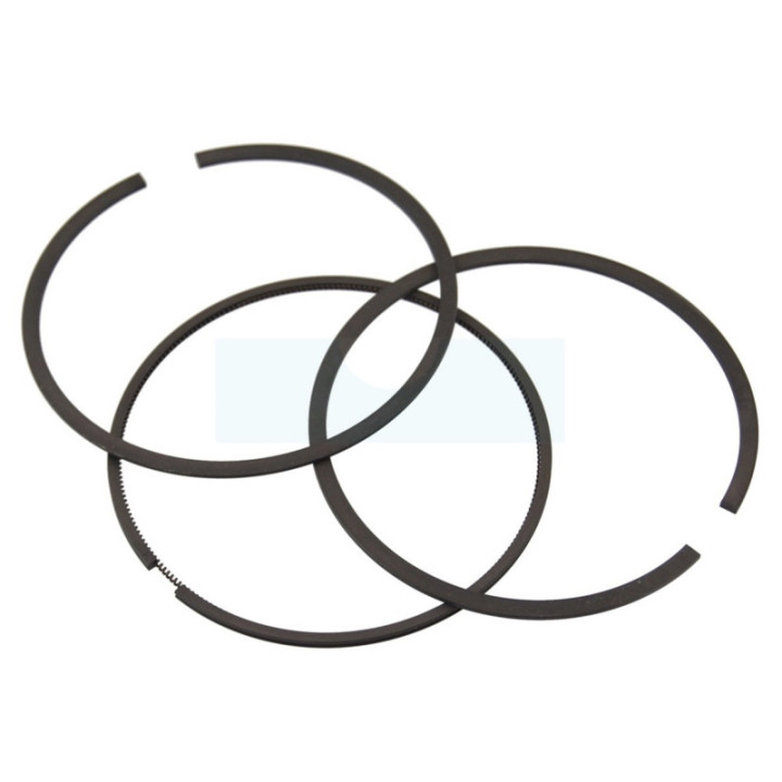 Kit segment pour moteur Briggs & Stratton (690162)
