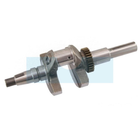 Vilebrequin pour moteur Briggs & Stratton (843794)