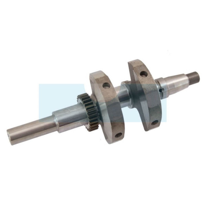 Vilebrequin pour moteur Briggs & Stratton (843794)