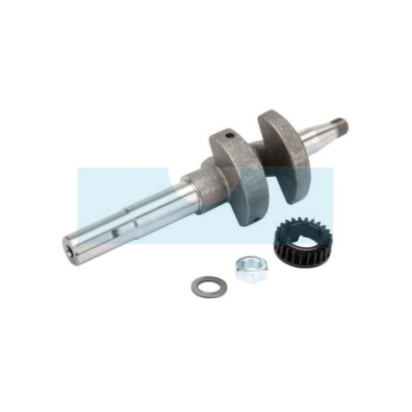 Vilebrequin pour moteur Briggs & Stratton (793616)