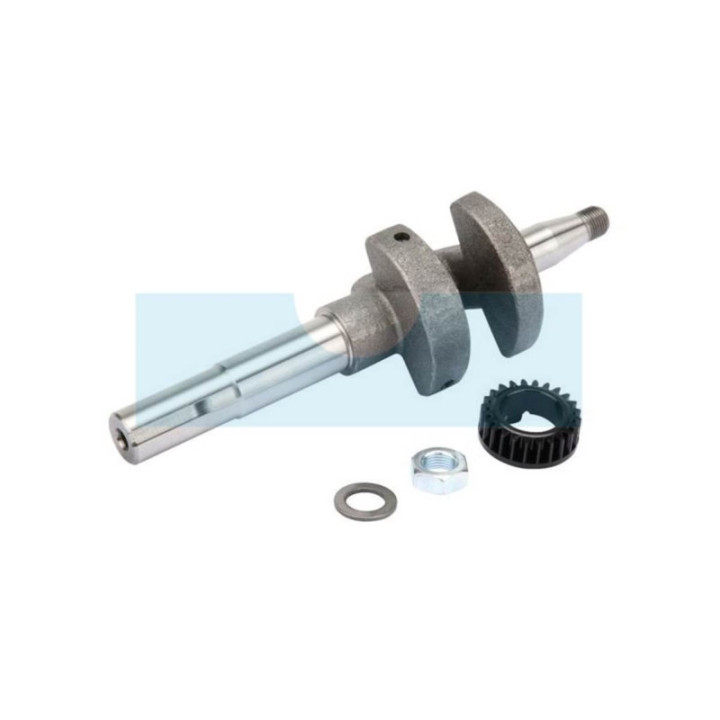 Vilebrequin pour moteur Briggs & Stratton (793616)