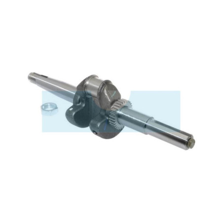 Vilebrequin pour moteur Briggs & Stratton (794716)