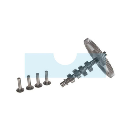 Arbre à cames pour moteur Briggs & Stratton (790562)