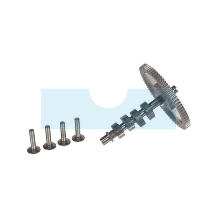 Arbre à cames pour moteur Briggs & Stratton (790562)