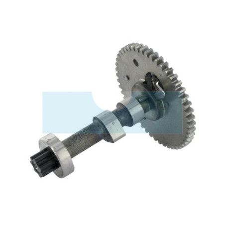 Arbre à cames pour moteur Briggs & Stratton (694036)