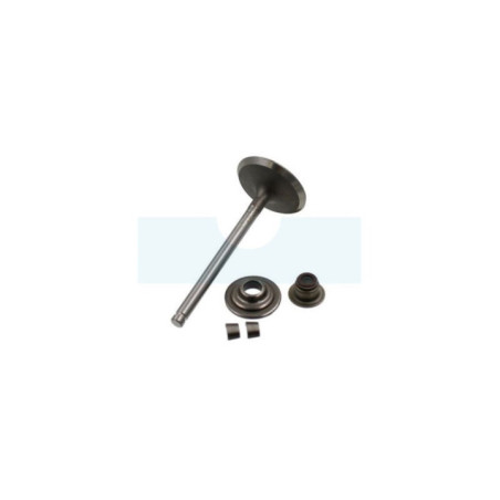 Soupape d'admission pour moteur Briggs & Stratton (716080)