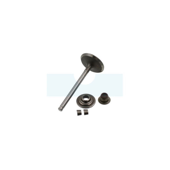 Soupape d'admission pour moteur Briggs & Stratton (716080)