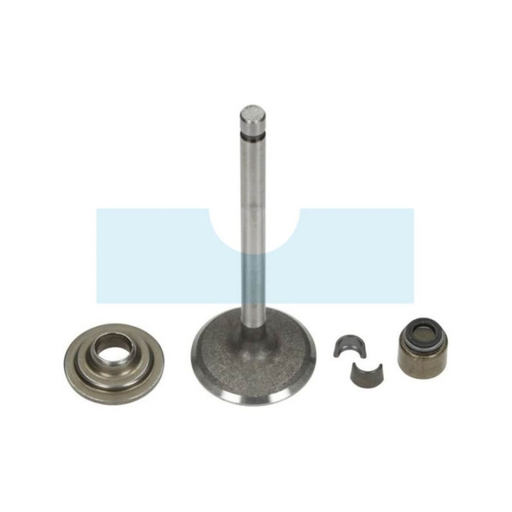 Soupape d'admission pour moteur Briggs & Stratton (792200)