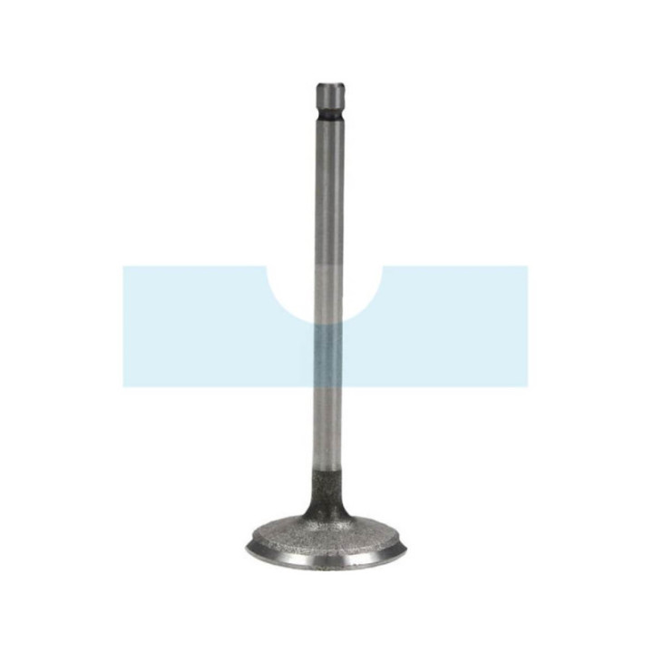 Soupape d'admission pour moteur Briggs & Stratton (792200)