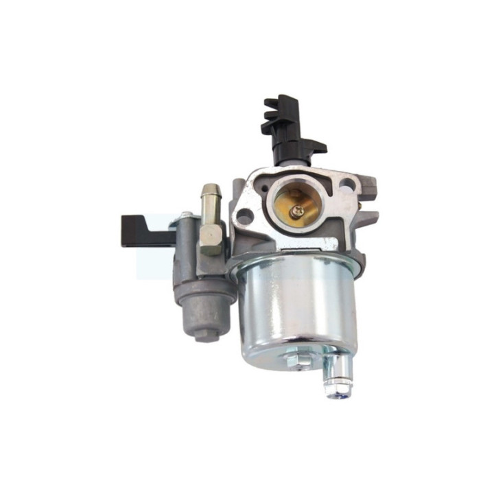 Carburateur pour moteur Briggs & Stratton (593351)