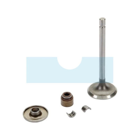 Soupape d'admission pour moteur Briggs & Stratton (843751)
