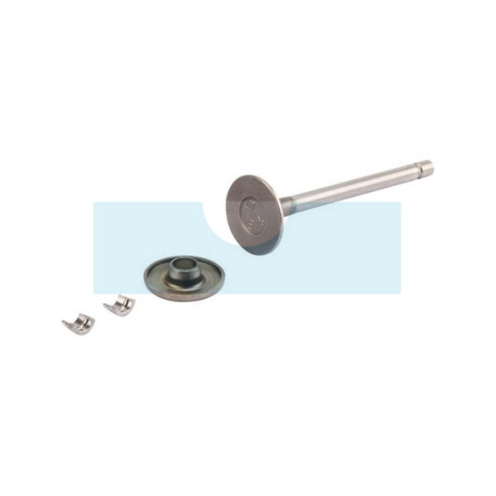 Soupape d'échappement pour moteur Briggs & Stratton (807681)