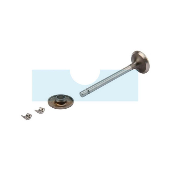 Soupape d'échappement pour moteur Briggs & Stratton (807681)