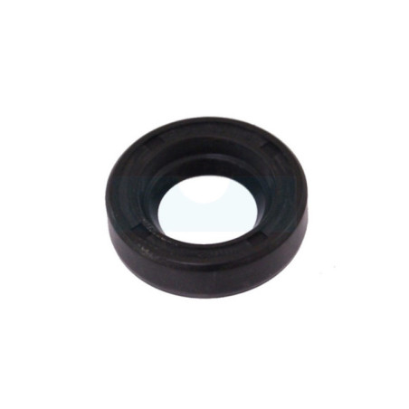 Joint spi 12x22x6mm
